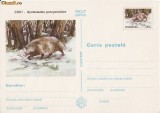 Intreg postal -Animale cu blana-enot