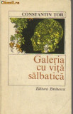 Constantin Toiu - Galeria de vita salbatica, 1984