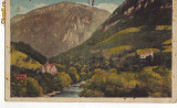 B2040 Herculane Valea Cernei si Vila Silva circulata 1938