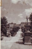 6204 Sangeorz Bai Parcul circulata 1943