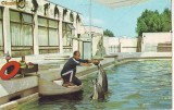 S11283 CONSTANTA Delfinariu circulat 1978