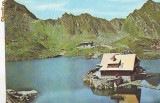 S11584 CABANA BALEA LAC CIRCULAT 1978