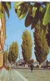 S11789 BRAILA Vedere din port CIRCULAT