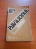 513 Nicolae Ioana Pavilionul, 1981