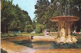 S11991 BUZIAS Parcul CIRCULAT 1980