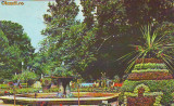 S11993 BUZIAS Vedere din parc CIRCULAT 1972