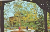 S11981 BUZIAS CIRCULAT
