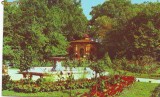 S11987 BUZIAS CIRCULAT