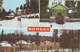 S12036 BORSEC CIRCULAT