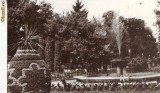 S11948 BUZIAS CIRCULAT 1971