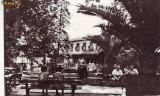 S11951 BUZIAS CIRCULAT 1969