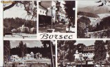 S12009 BORSEC CIRCULAT 1966