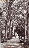 S11959 BUZIAS Vedere din parc CIRCULAT 1967