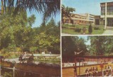 S11963 BUZIAS CIRCULAT