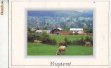 S11884 BUSTENI CIRCULAT 1998
