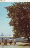 S11181 CONSTANTA Pe faleza CIRCULAT 1966