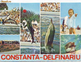S11086 CONSTANTA Delfinariu CIRCULAT 1985