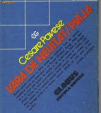 Cesare Pavese - Vara de neuitat * Plaja