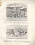 Plansa - STEAUA la Bucuresti-1842, Sanie la Sosea-1856