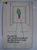 Eugen Sadofsky, Amelia Militiu - Plante de apartament si decoratiuni florale, Alta editura