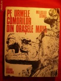 MIROSLAV STINGI - Pe Urmele Comorilor din Orasele Maya