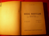 B.TRAVEN - VASUL MORTILOR - ed. 1945