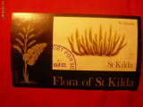 Colita stamp.speciala -Flora , 1969 St.Kilda Scotia