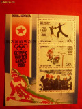 Bloc stamp. - Jocurile Olimpice de Iarna 1980, Coreea de Nord