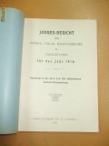 Jahres-Bericht des Oster. Ung. in T. Severin 1911