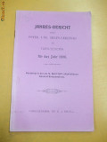 Jahres-Bericht des Oster. Ung. in T. Severin 1907