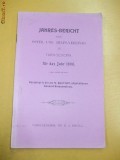 Jahres-Bericht des Oster. Ung. in T. Severin 1907