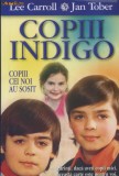 Copiii Indigo