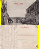 Sighisoara-1916, Circulata, Printata