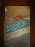 1818 Viorel Salagean Merdianul Mississippi, 1985