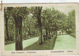 B8329 Baile Covasna Promenada circulata1923