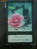 2258 Bobkrith Prevede Totul , O.Soyka, 1990