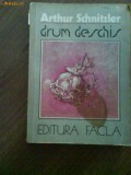 2264 Drum Deschis Arthur Schnitzler