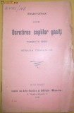 Statute Soc. pt. ocrotirea copiilor gasiti Buc. 1906