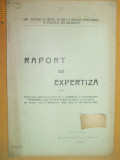 Raport expertiza Soc. ,,Pelesul si varful cu dor&amp;quot; Buc. 1910