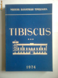 BANAT-TIBISCUS,ARHEOLOGIE ISTORIE,VOL3,TIMISOARA