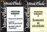 Profetism romanesc