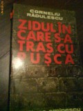 2454 Corneliu radulescu Ziduri in care s-a tras cu pusca