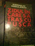 2454 Corneliu radulescu Ziduri in care s-a tras cu pusca, 1979