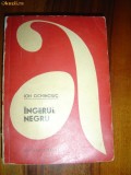 1889 Ion Ochiniciuc Ingerul Negru