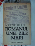 ROMANUL UNEI ZILE MARI