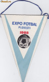 Fanion Expo Fotbal Ploiesti 1988