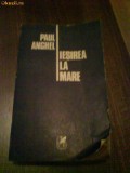 2572 Iesirea la Mare Paul Anghel