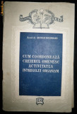 Colectia SRSC, Cum coordoneaza creierul omenesc, 1955