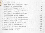Dan Grigorescu - 13 scriitori americani