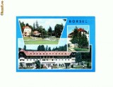 CP115-31 -Borsec -circulata 1971